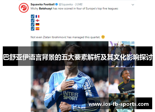 巴舒亚伊语言背景的五大要素解析及其文化影响探讨 巴舒亚伊语言背景的五大要素解析及其文化影响探讨