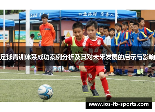 足球青训体系成功案例分析及其对未来发展的启示与影响