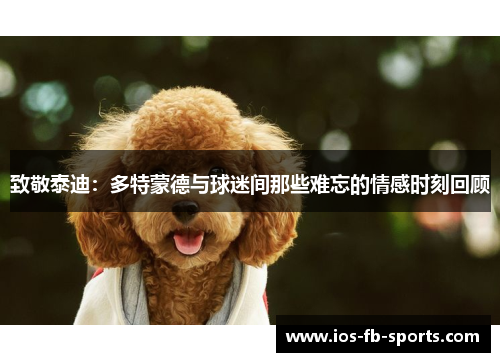 致敬泰迪：多特蒙德与球迷间那些难忘的情感时刻回顾