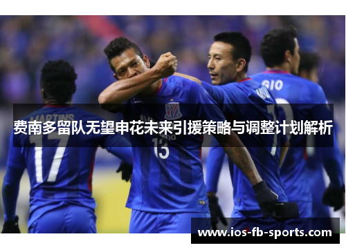费南多留队无望申花未来引援策略与调整计划解析