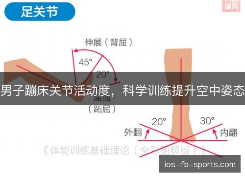 男子蹦床关节活动度,科学训练提升空中姿态 男子蹦床关节活动度,科学训练提升空中姿态